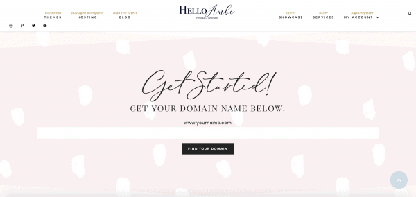 domain registration search box